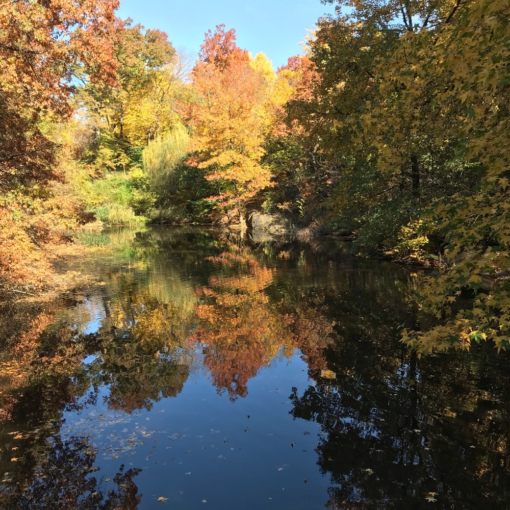 Meet your Posher, Marlene